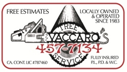 Vaccaro’s Tree Service