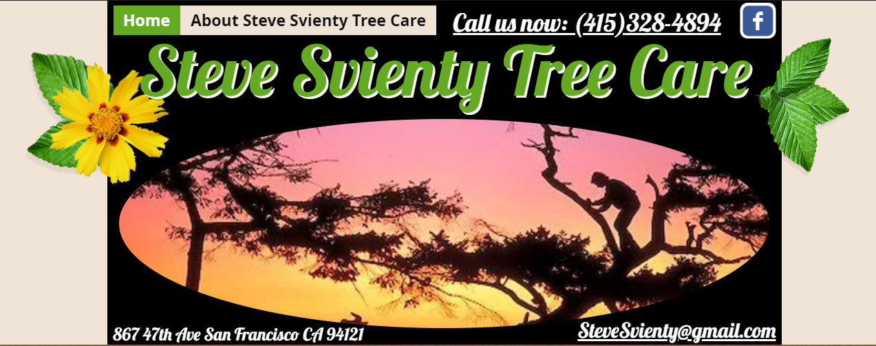 Steve Svienty Tree Care