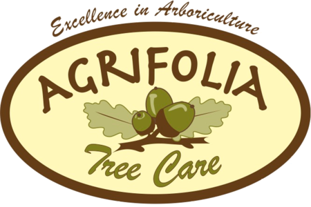 Agrifolia Tree Care