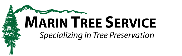 Marin Tree Service Inc.